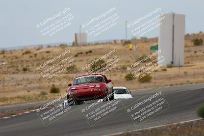 media/May-03-2025-Lucky Dog Racing (Sat) [[206de64b9d]]/Turn 6 (150pm-230pm)/